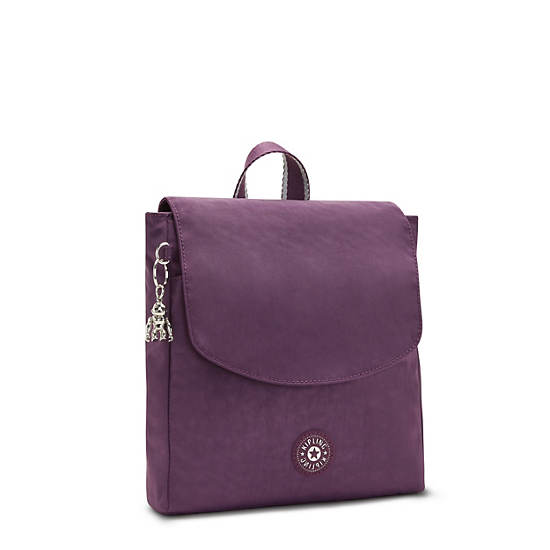 Sacs À Dos Kipling Dannie Small Violette | FR 1666CT